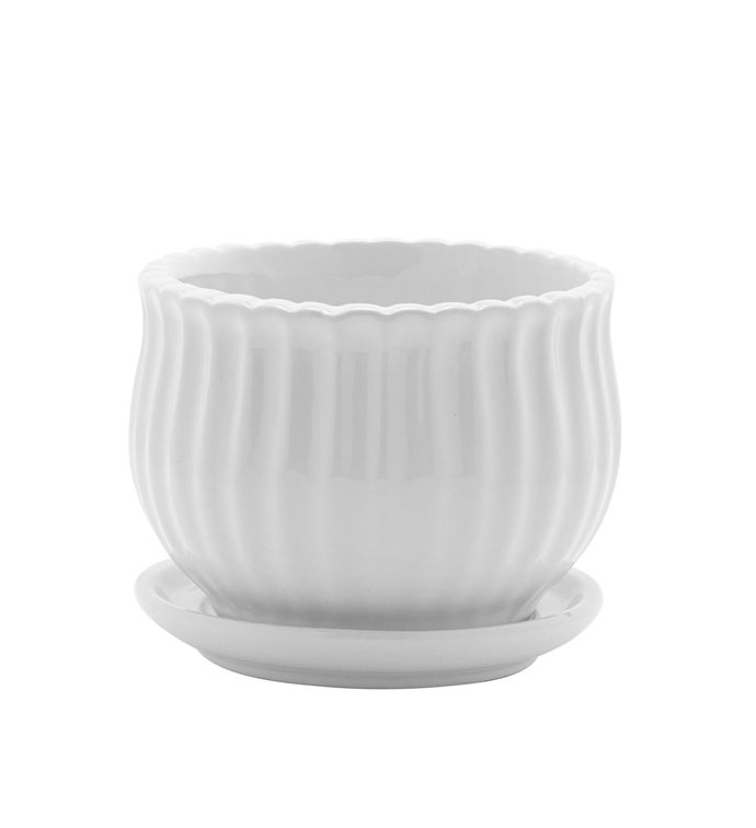 Small White Scalloped Pot with Saucer