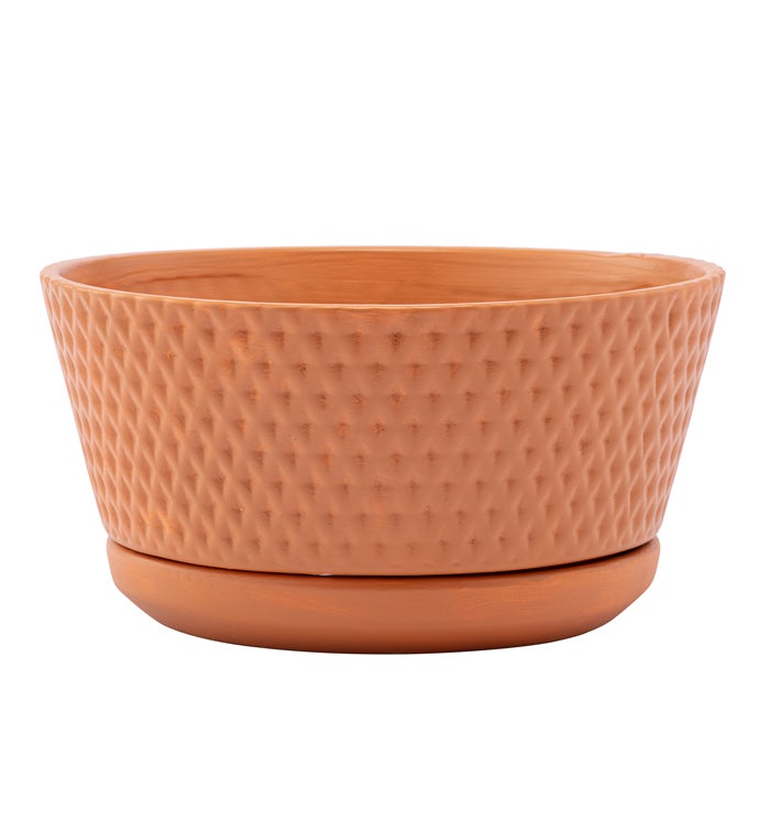 Medium Rust Diamond Dishgarden with Saucer