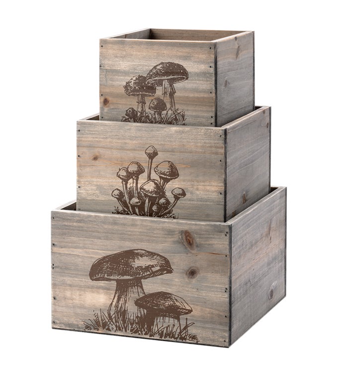 Square Mushroom Box, Set of 3