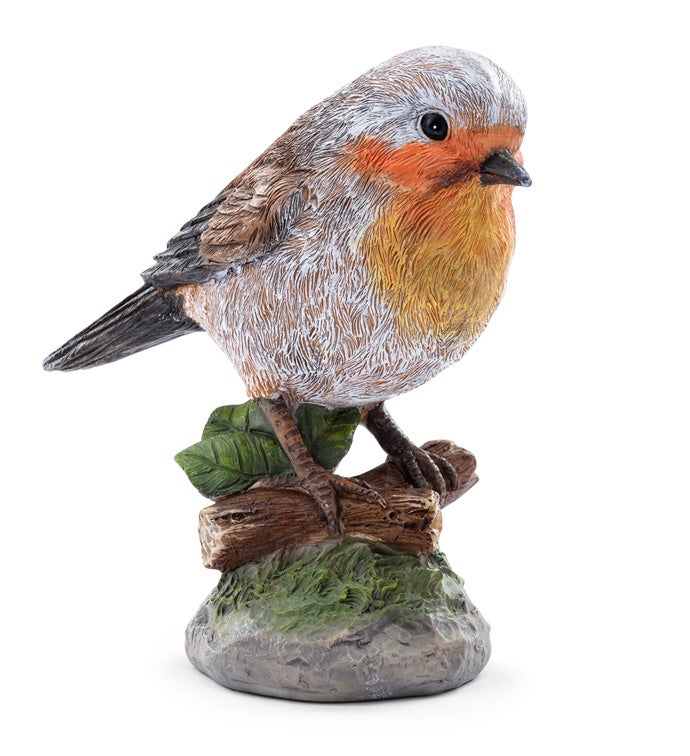 Gray/Orange/Brown Bird on Branch