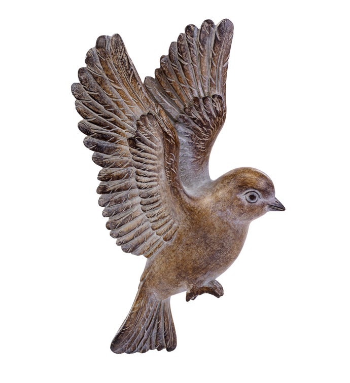 Wings up Flying Bird