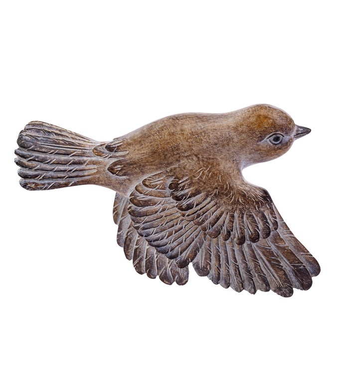 Wings Down Flying Bird