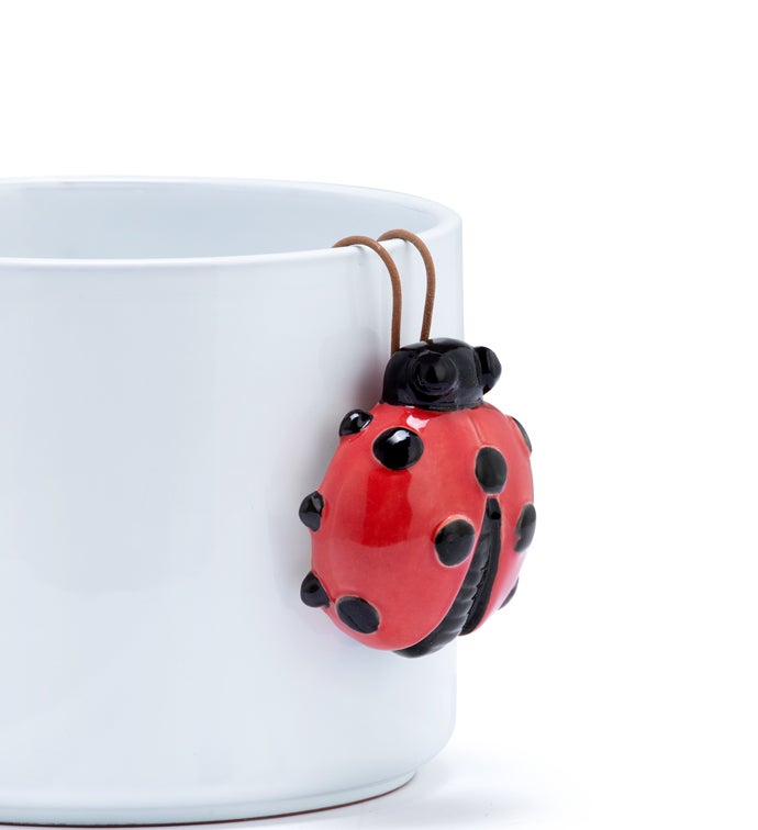 Ladybug Pot Hanger