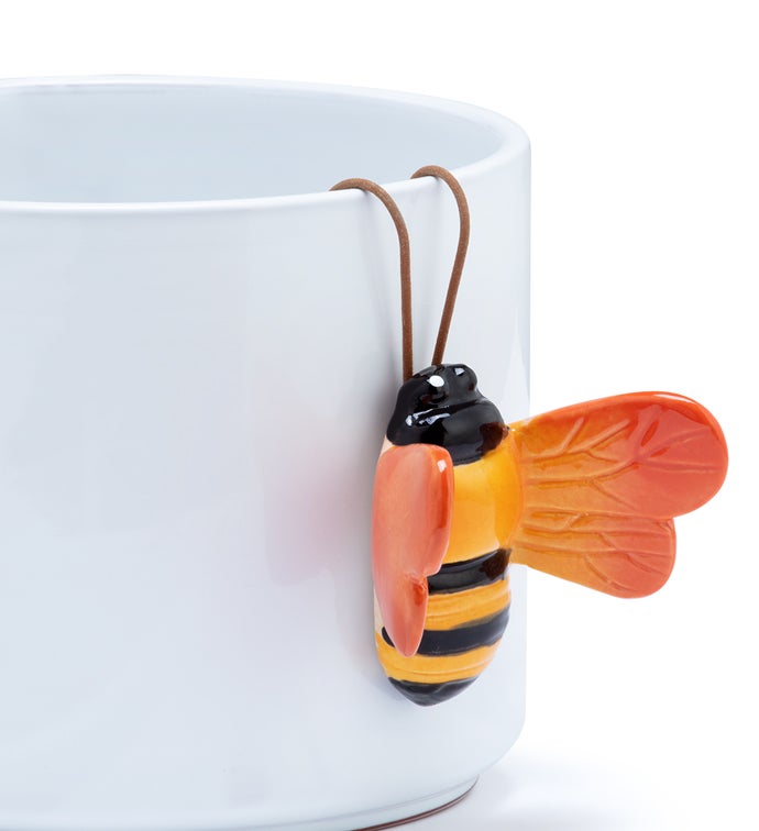 Bee Pot Hanger