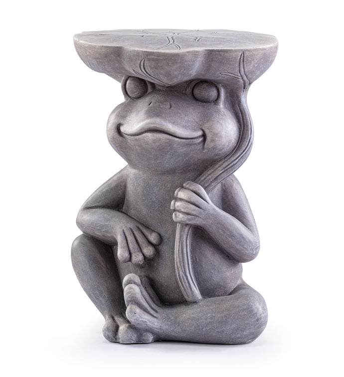 Frog with Plant Holder on Head