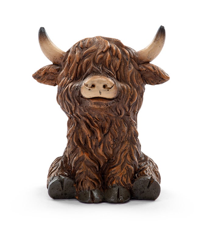Sitting Highland Cow