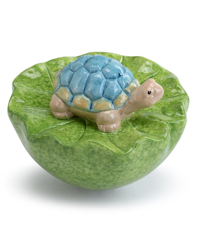 Turtle on Leaves Water Floater