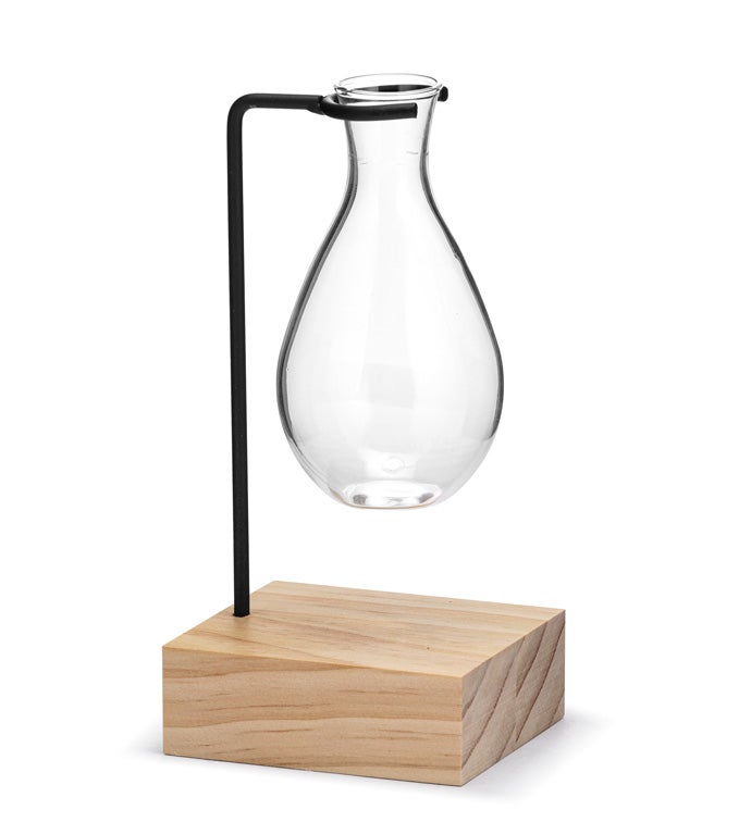 Wire Stake Vase Propagation Stand