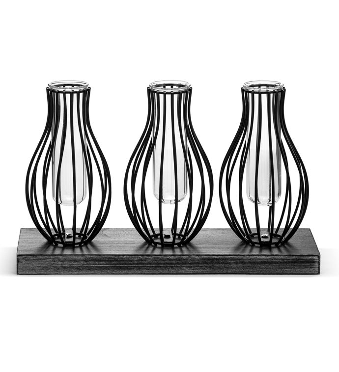 3 Wire Vases Propagation Stand