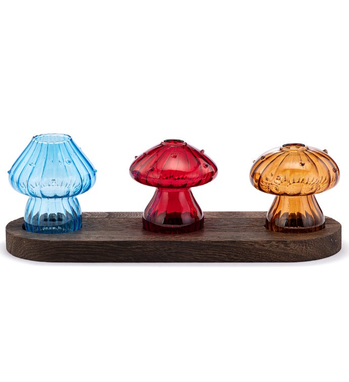 3 Mushrooms Propagation Stand