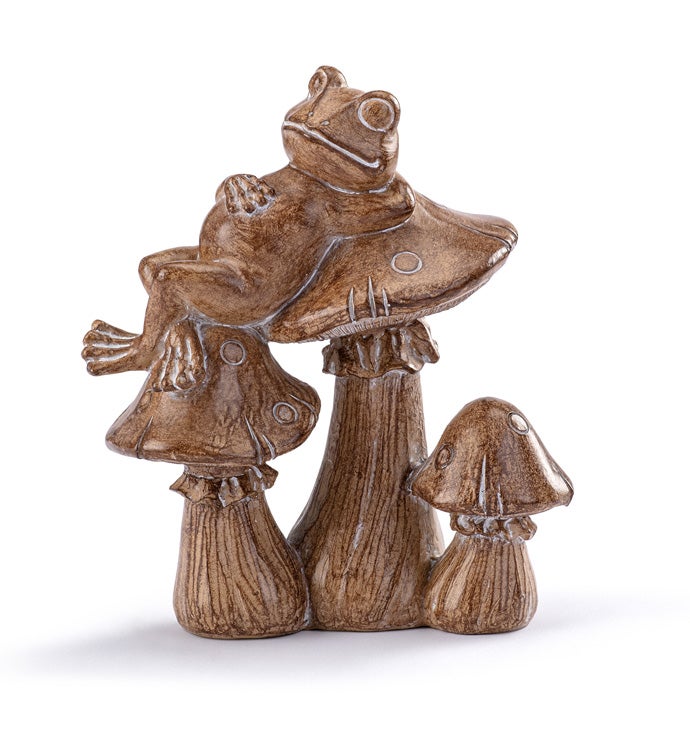 Brown Frog on Mushrooms