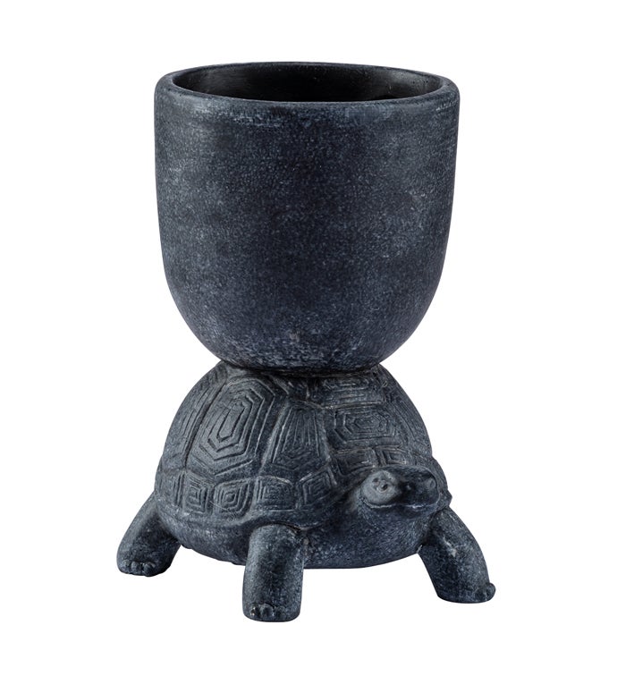 Turtle with Planter on Back