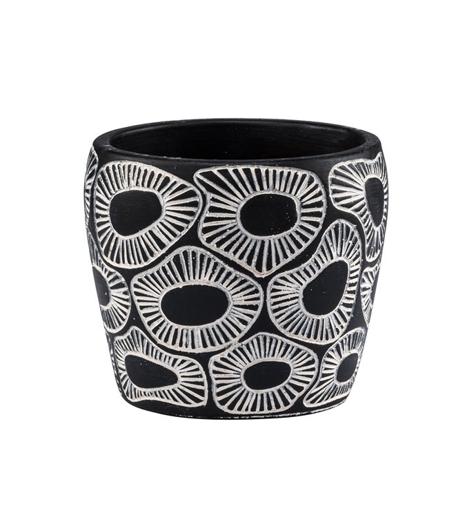 Black Amoeba Planter