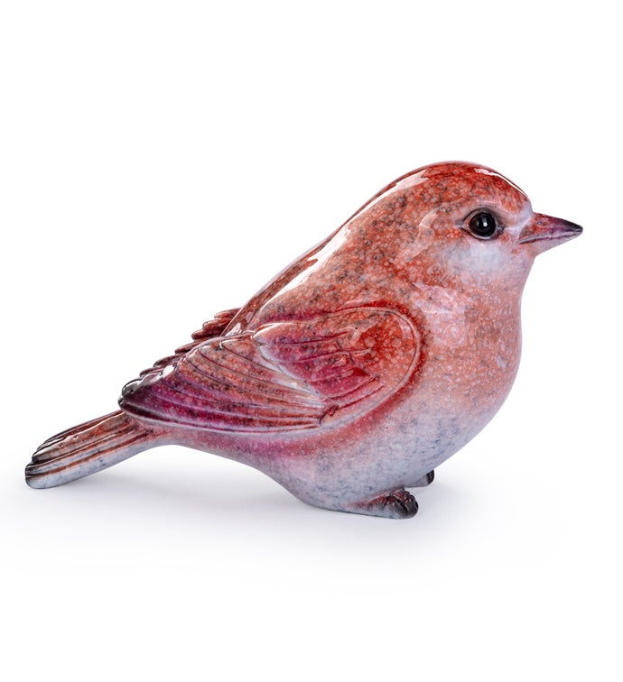 Purple Finch