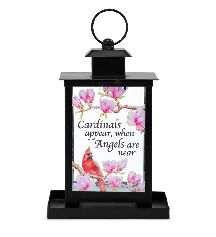 'Cardinals Appear, when Angels are Near' Birdfeede