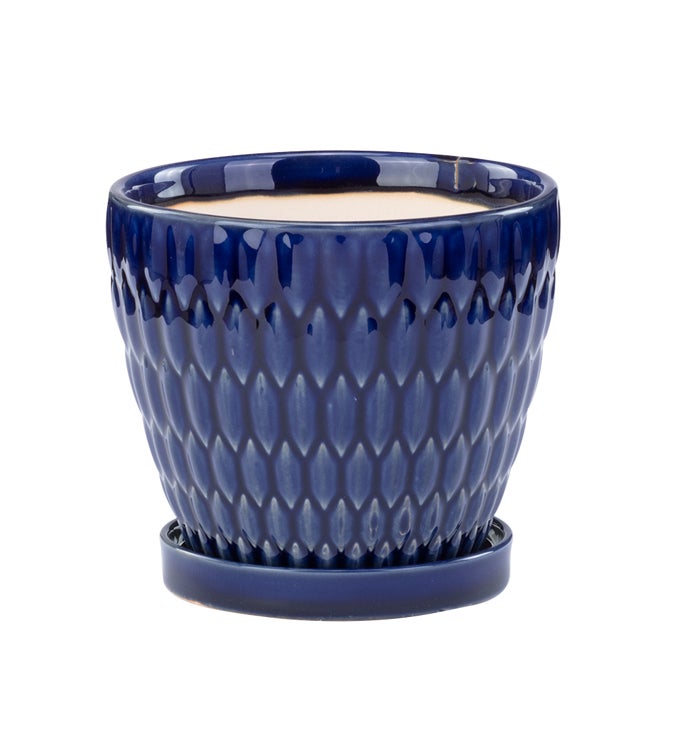 6" Royal Blue Embossed Ovals Planter w/ Saucer
