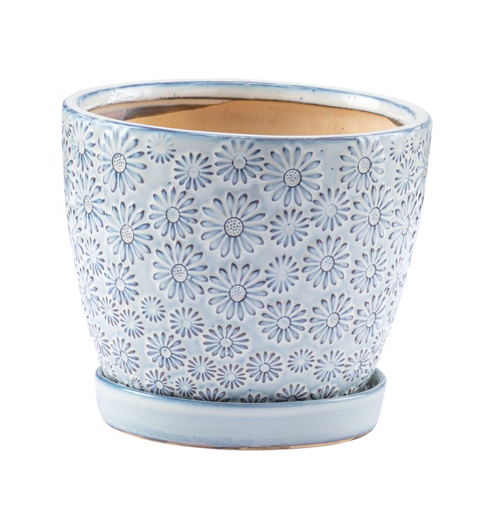 6" White/Blue Embossed Daisy Planter with Saucer