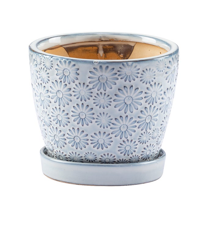 4.5 in White/Blue Embossed Daisy Planter with Saucer