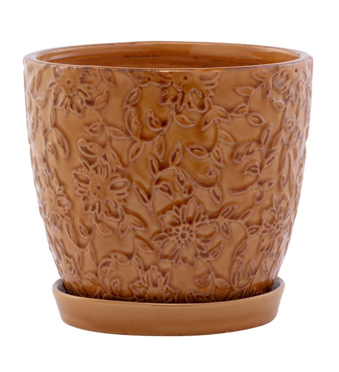 Large Gold Embossed Vine Planter with Saucer