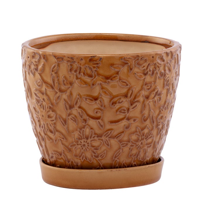 6" Gold Embossed Vine Planter with Saucer