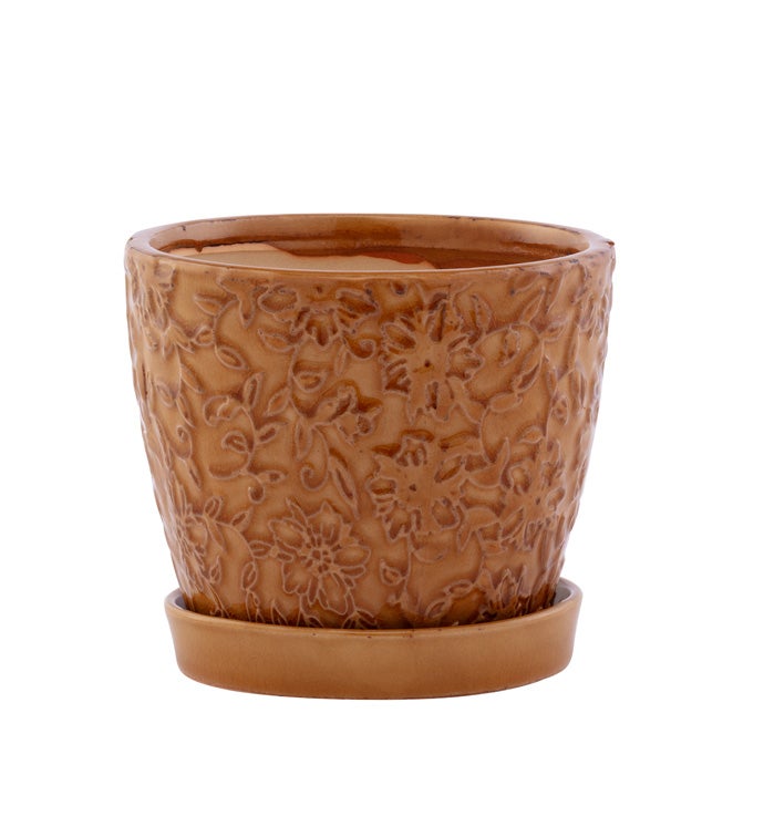 4.5" Gold Embossed Vine Planter with Saucer