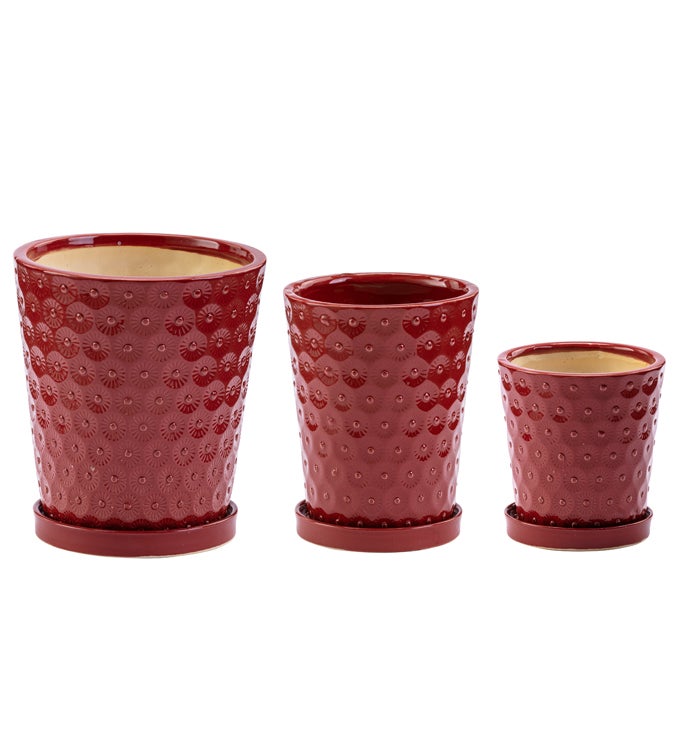 Red Pucker Planter with Saucer, Set of 3