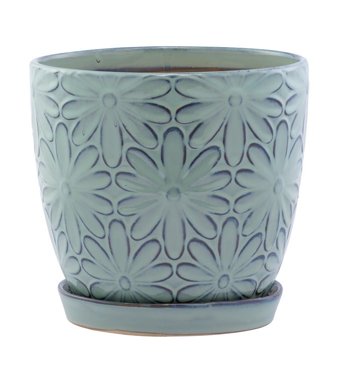 Large Blue Big Daisy Planter with Saucer