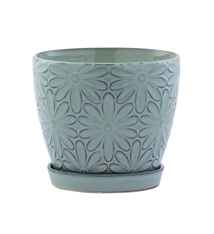 6 in Blue Big Daisy Planter with Saucer