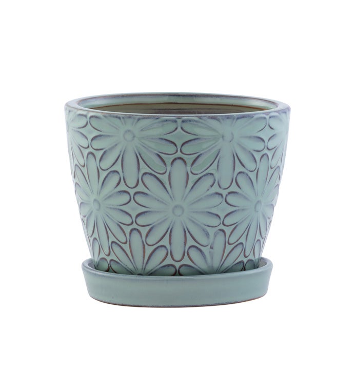 4.5 in Blue Big Daisy Planter with Saucer