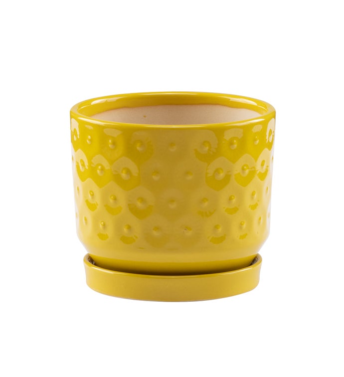 4.5" Yellow Embossed Circles Planter with Saucer