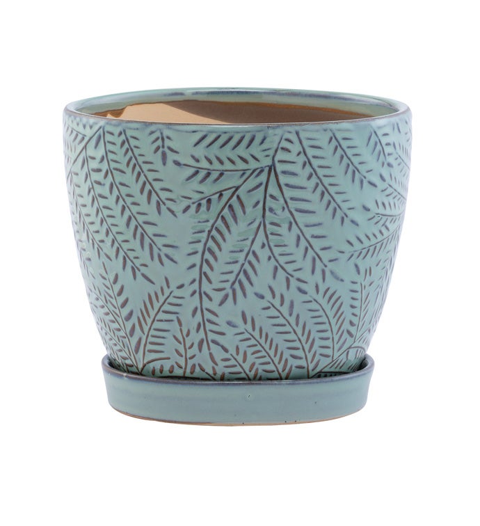 6" Blue Fern Planter with Saucer