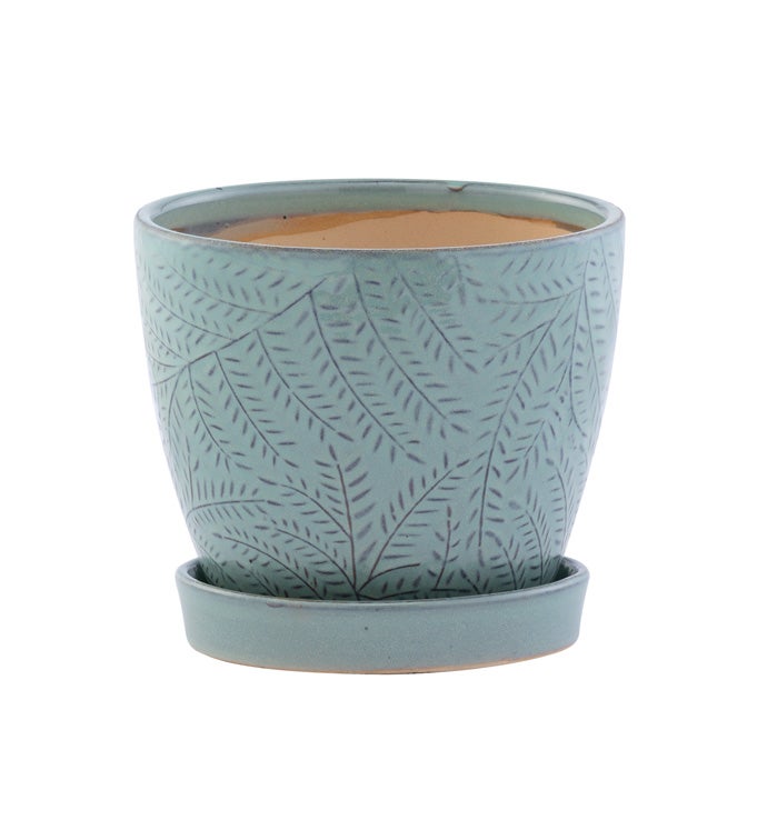 4.5" Blue Fern Planter with Saucer