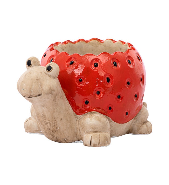 Strawberry Shell Turtle Planter