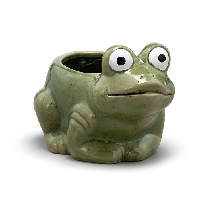 Hoppy Frog Planter