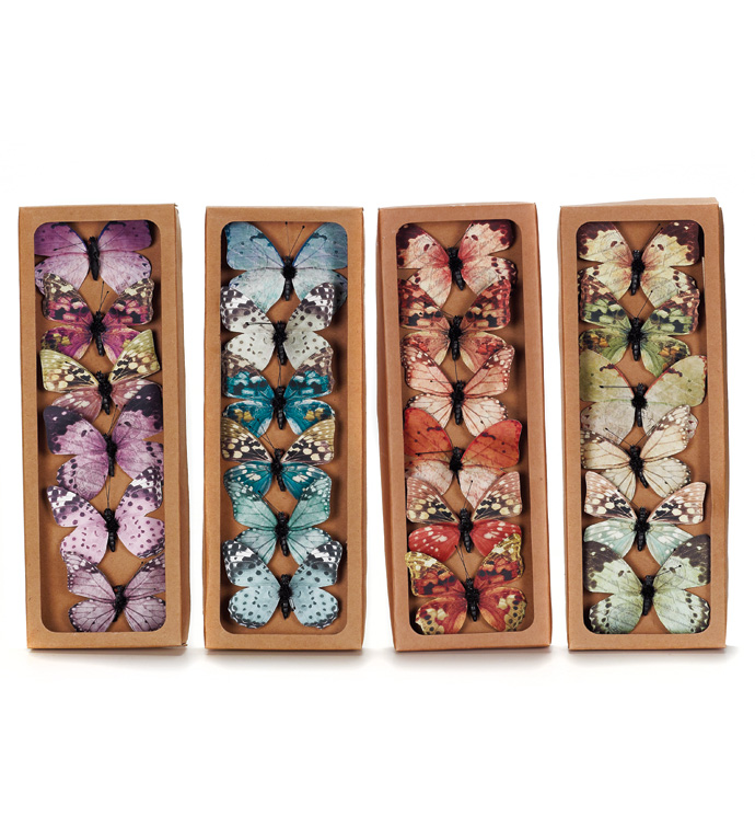 Small Spring Butterflies, Box of 6