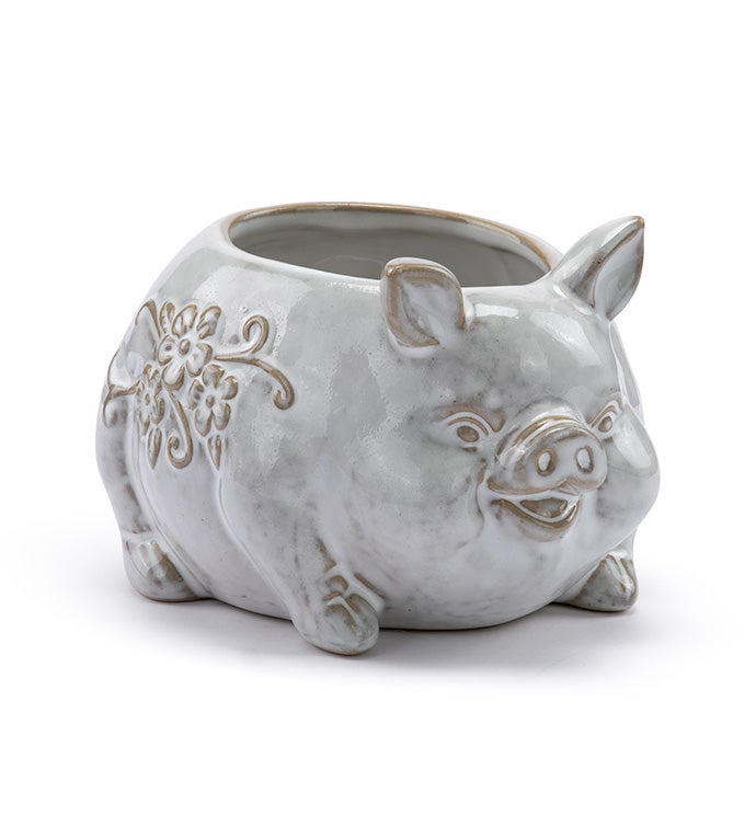 Round Belly Pig Planter