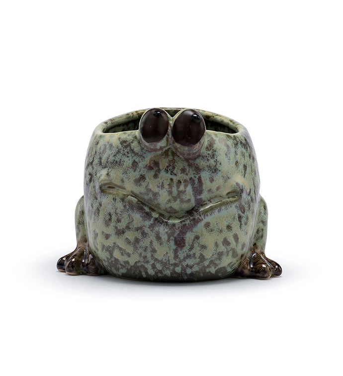 Goofy Frog Planter
