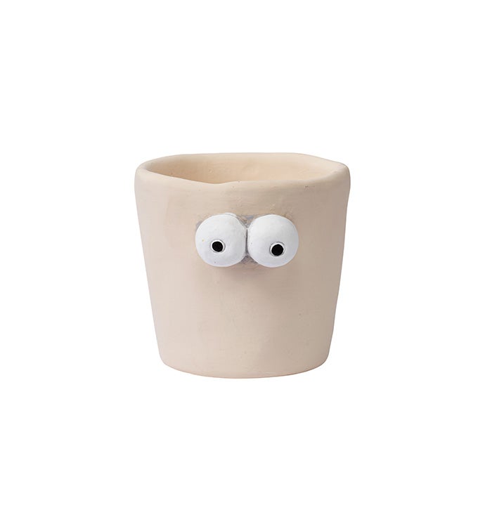 Googly Eye Planter
