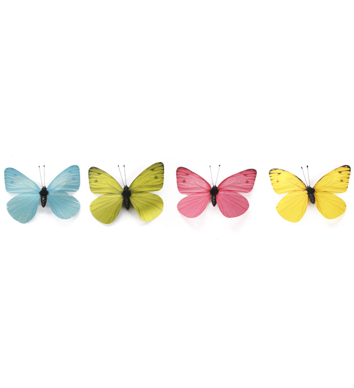 Small Spring Butterfly, Box of 8
