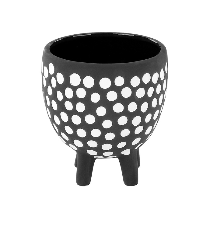 Black/White Dot Footed Cache