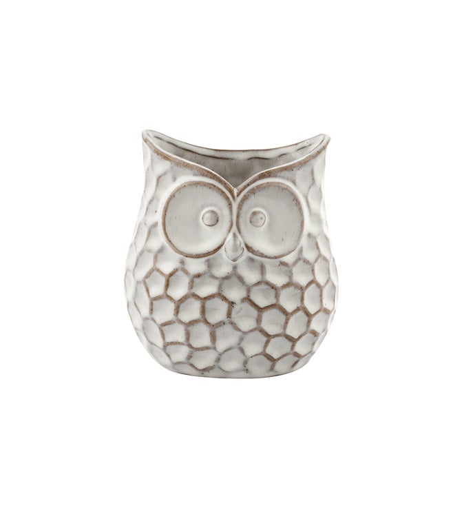 Antique Owl Planter                