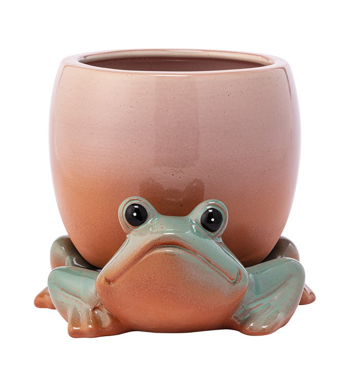 Frog with Planter on Back