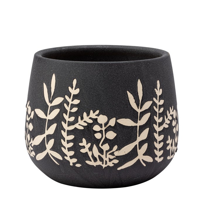 Large Black Fern Ball Planter