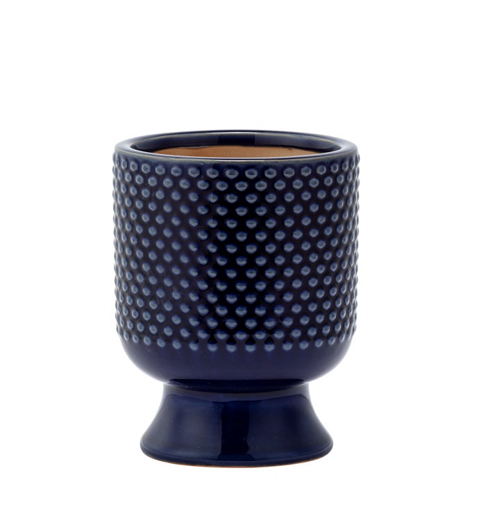 Small Cobalt Hobnail Pedestal Plant