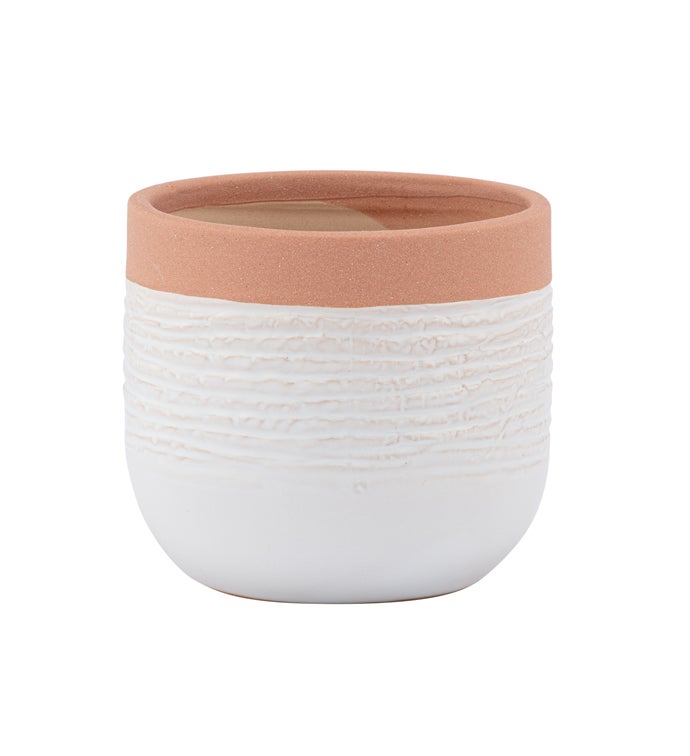 Brown Rim Textured Planter