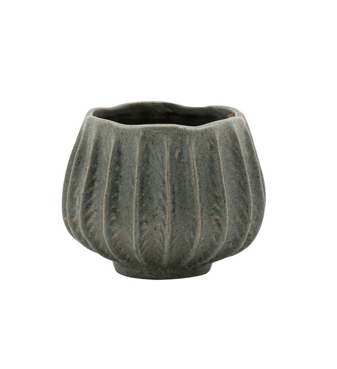 Small Green Urchin Planter
