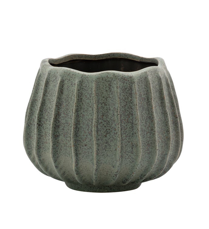 Large Green Urchin Planter