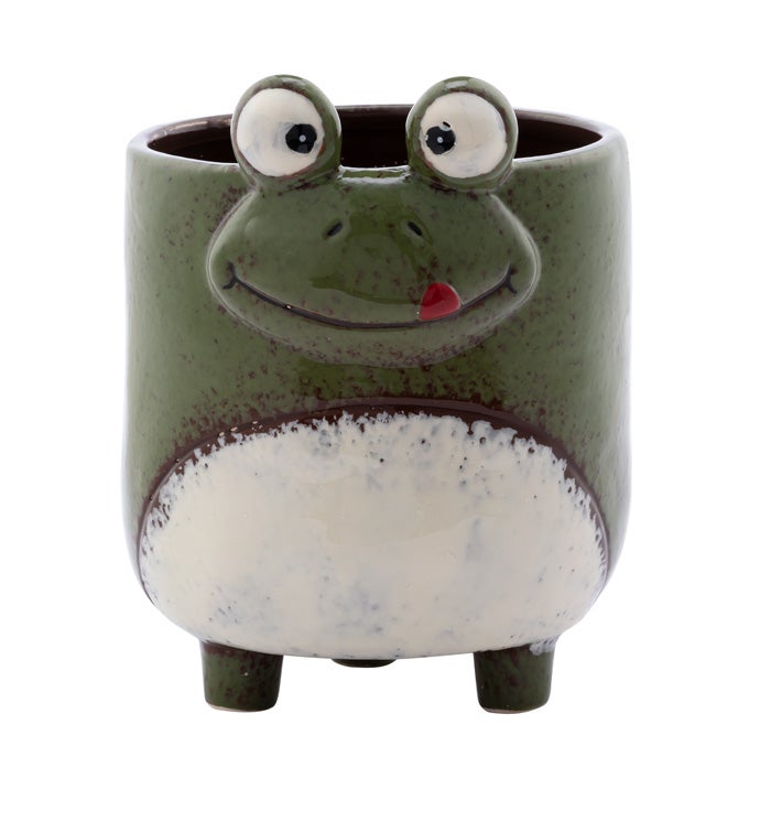 Cross Eyed Frog Planter