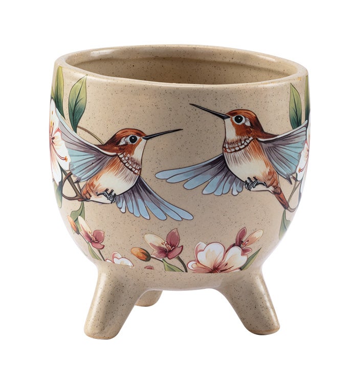 Rufous Hummingbird Footed Planter