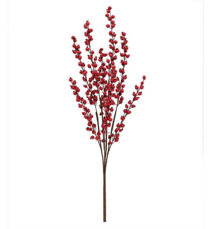 Red Spike Berry Bush